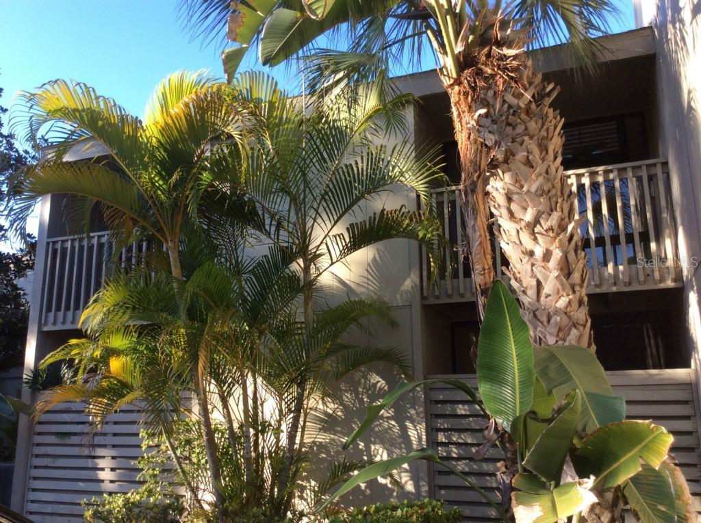 362 Pine Run Dr., Osprey, FL 34229