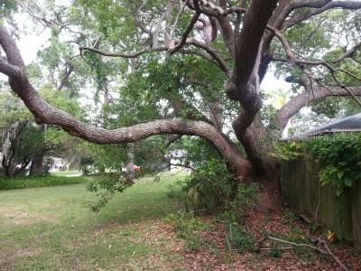 2931 49th St., Gulfport, FL 33707