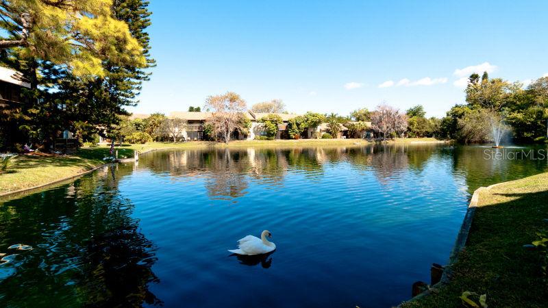 3810 75th St. #117, Bradenton, FL 34209