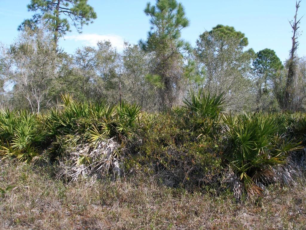 Ute Ave., North Port, FL 34288