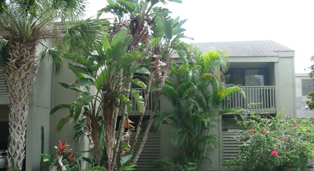 354 Pine Run Dr., Osprey, FL 34229