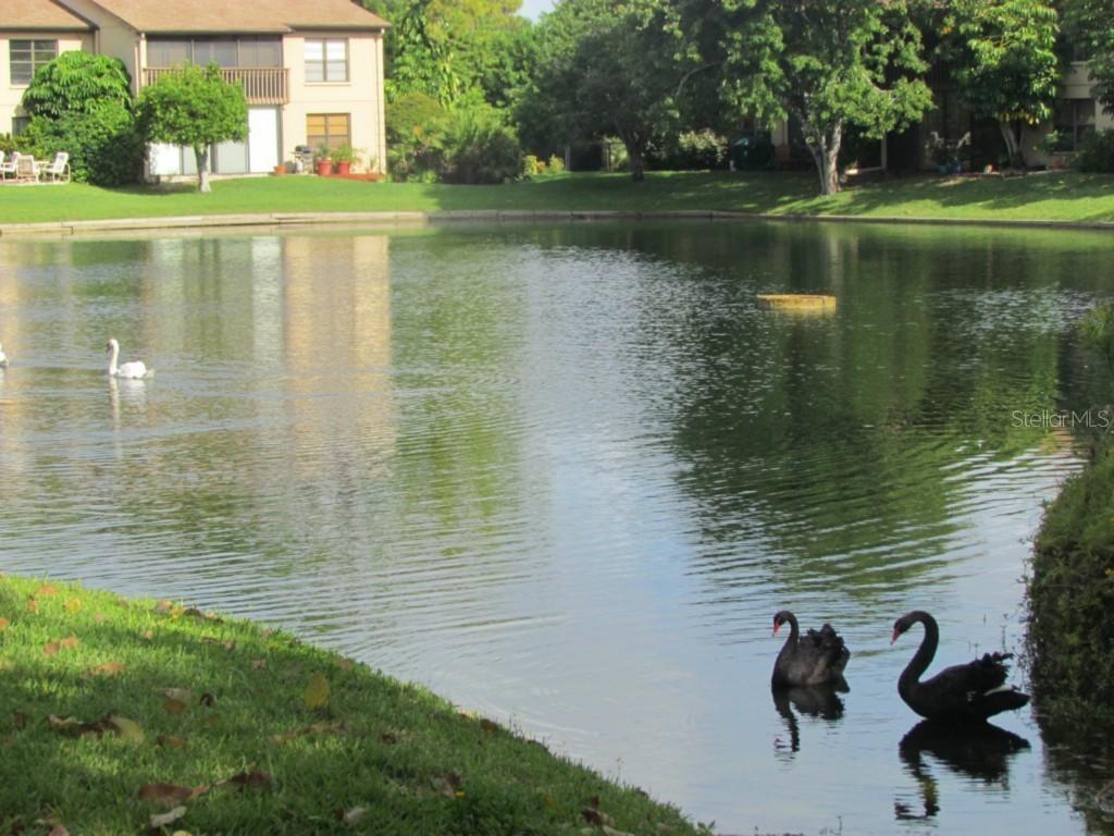 3810 75th St. #102, Bradenton, FL 34209