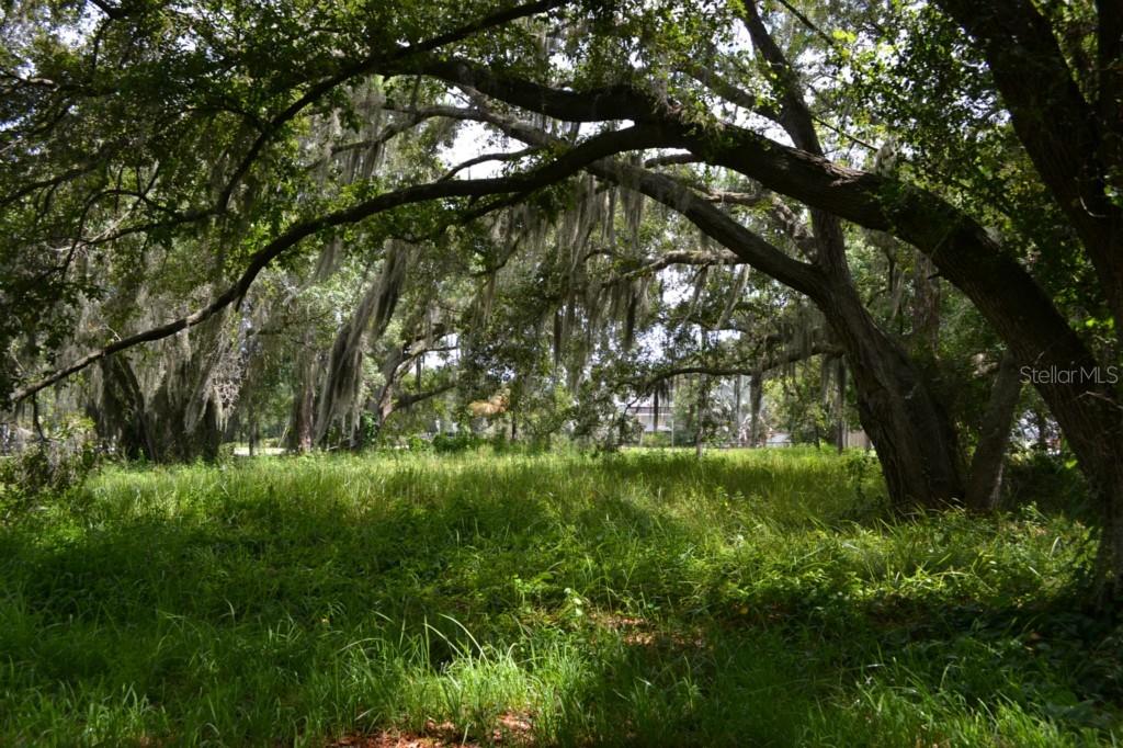 6005 Ft Hamer Rd., Parrish, FL 34219