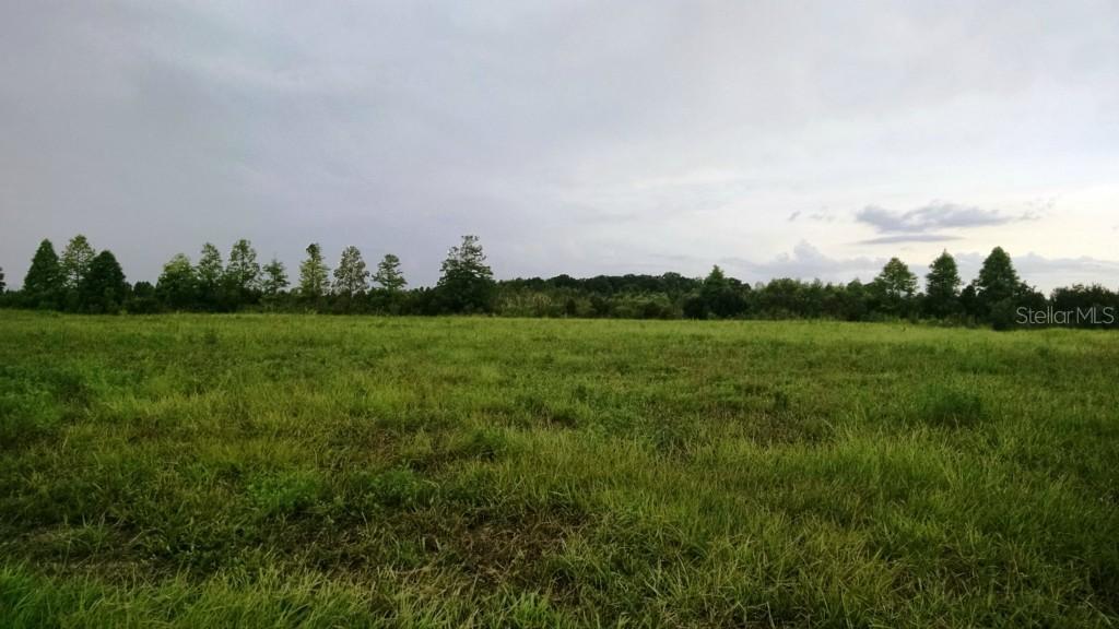 Smilodon Tr., Ruskin, FL 33570