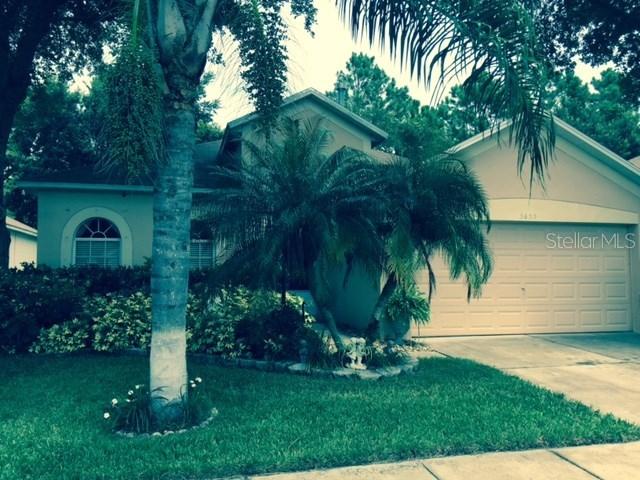 3655 Cinnamon Fern Loop, Clermont, FL 34714