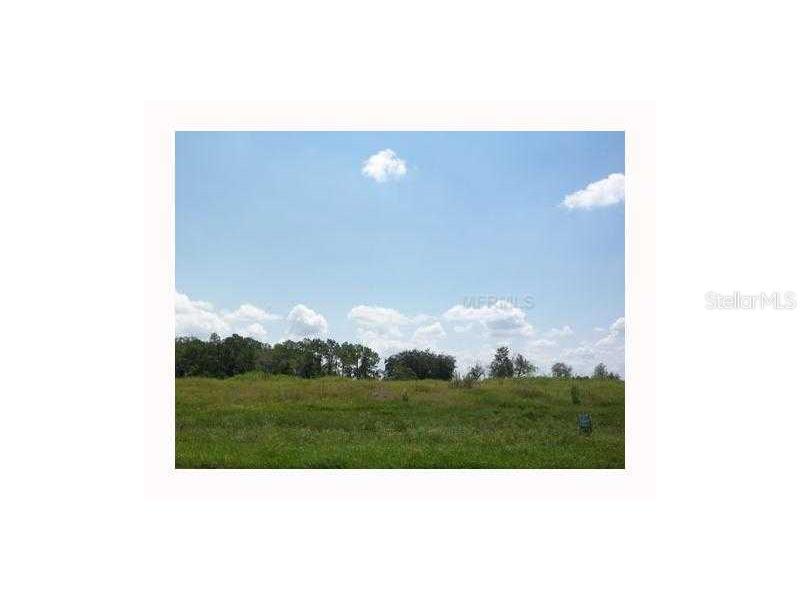 6220 Foal Creek Dr., Parrish, FL 34219
