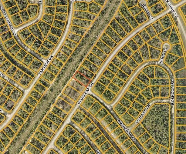 Blueleaf Dr., North Port, FL 34288