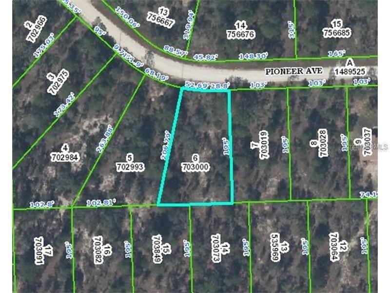 12192 Pioneer Ave., Weeki Wachee, FL 34614