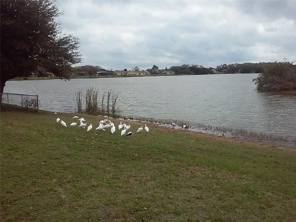 18577 Ohara Dr., Port Charlotte, FL 33948