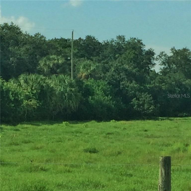 Grand Avenue, Deland, FL 32720