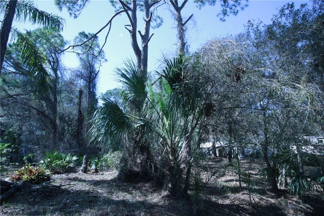 Ardale St., Sarasota, FL 34232