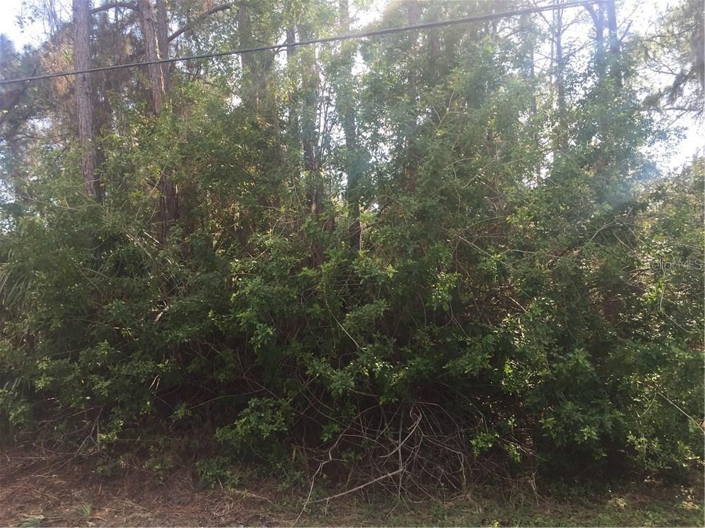 Alabelle Ln., North Port, FL 34286