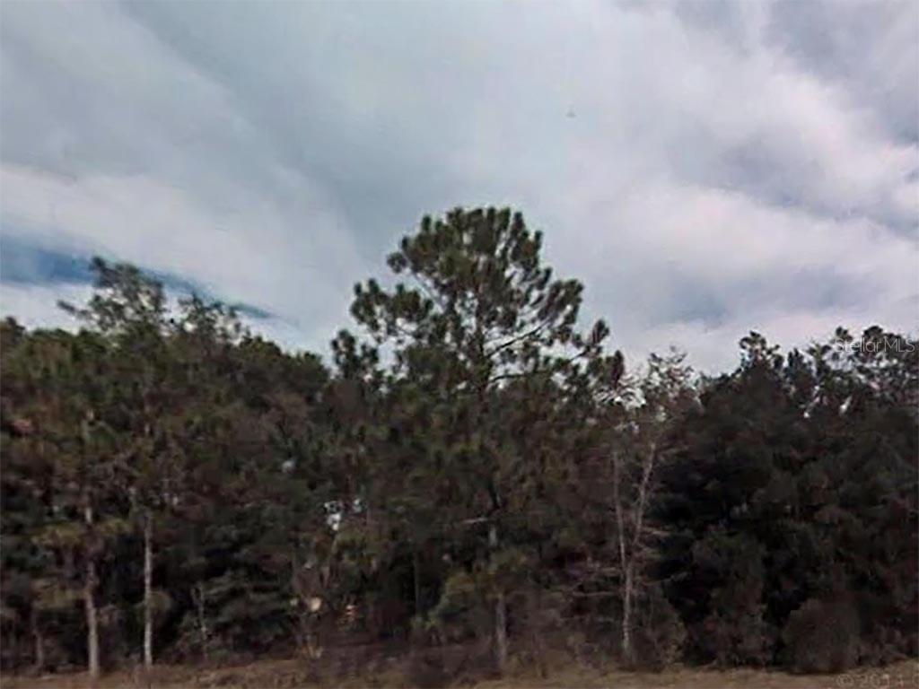 Lot 20 Sequoia Loop Ln., Ocklawaha, FL 32179