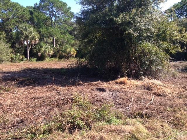 Nymph Ave., North Port, FL 34288