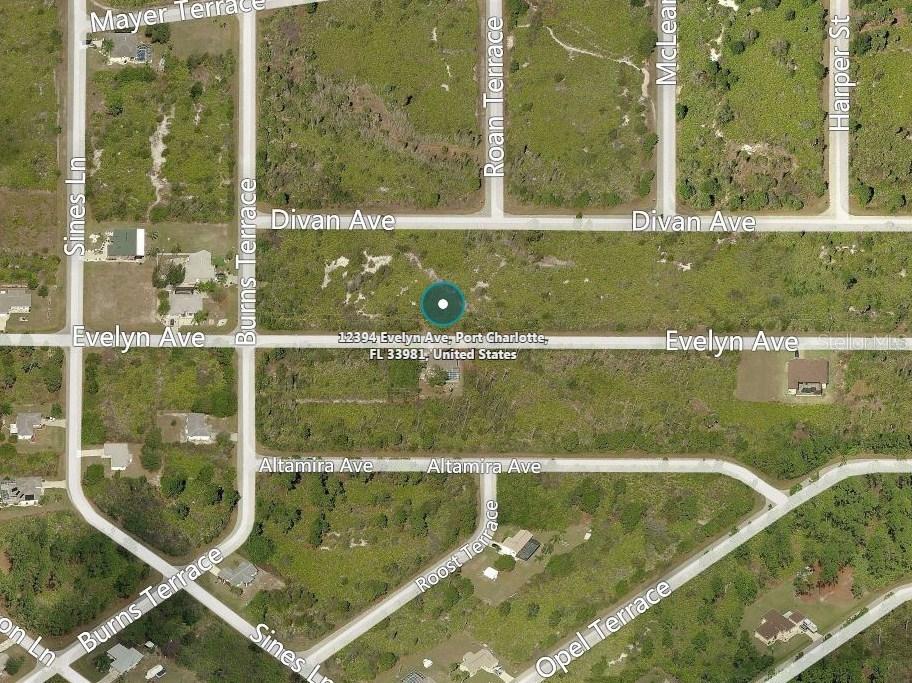 12394 Evelyn Ave, Port Charlotte, FL 33981