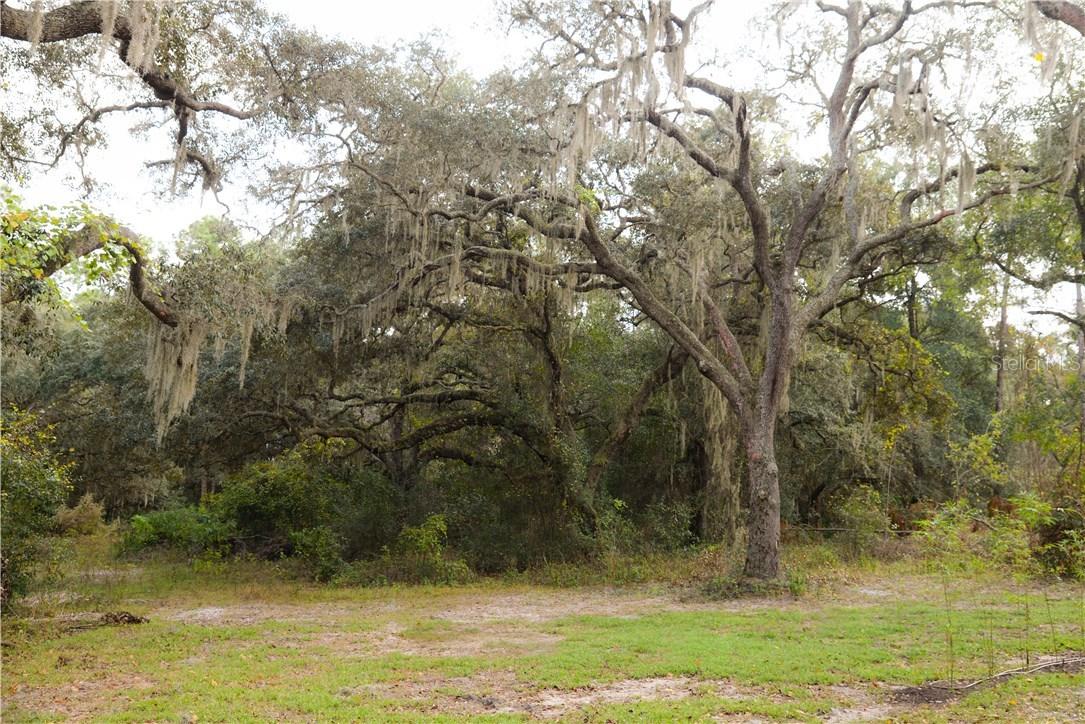 3515 Michigan St., Lake Mary, FL 32746