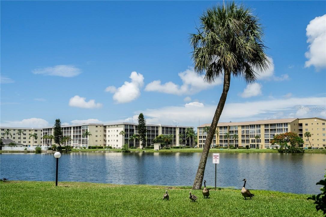 3314 Lake Bayshore Dr. #P110, Bradenton, FL 34205