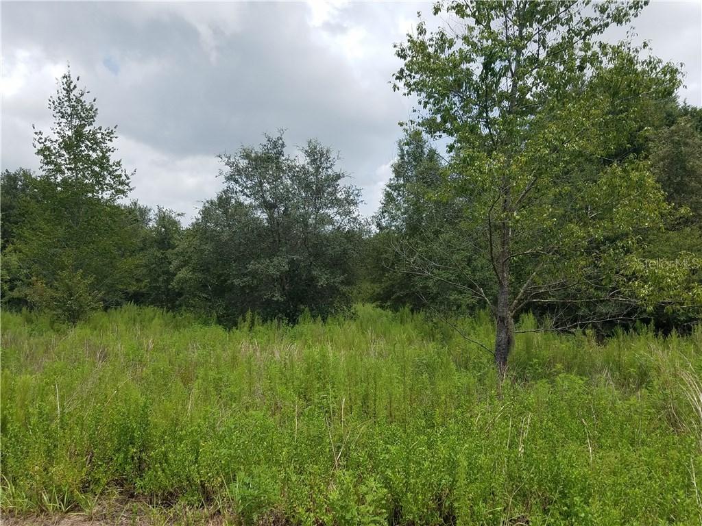 206 Suncoast Blvd., Spring Hill, FL 34608