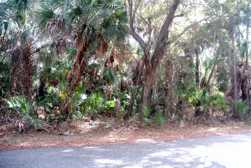 66 Statler St., Port Charlotte, FL 33954