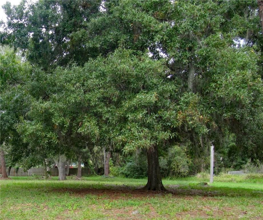 Webster St., North Port, FL 34288
