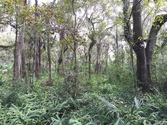 305 Apache Tr., Brandon, FL 33511