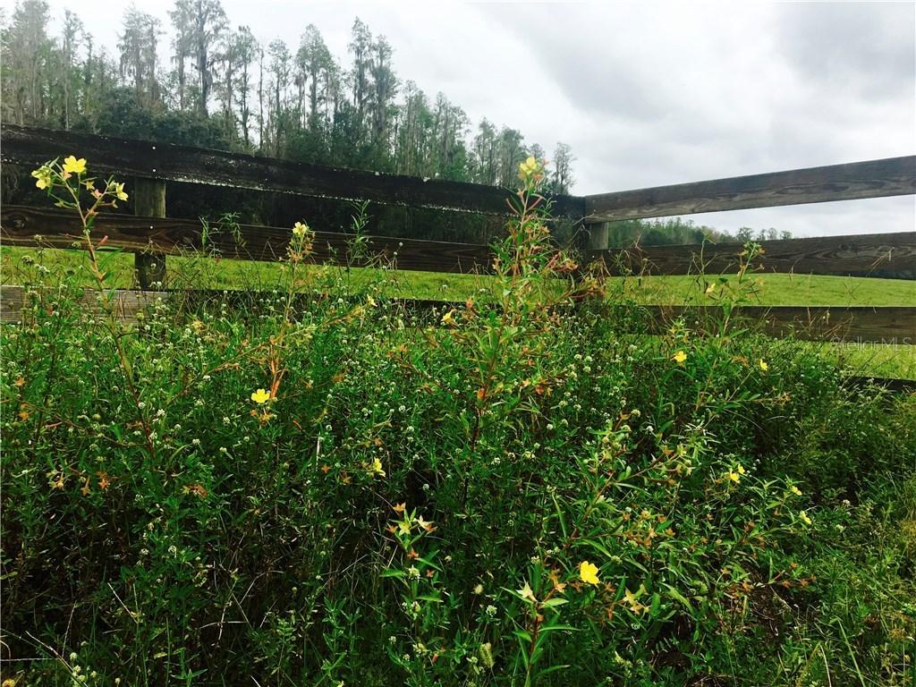Moore Rd., Lakeland, FL 33809