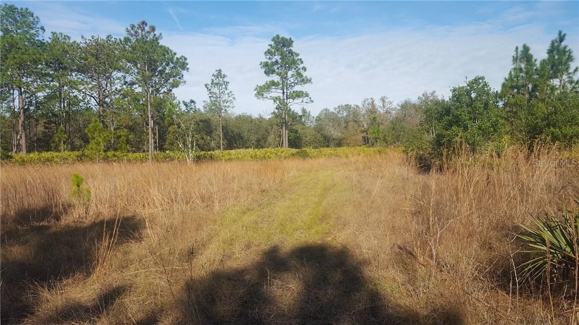 4444 N Mandrake Point, Crystal River, FL 34428