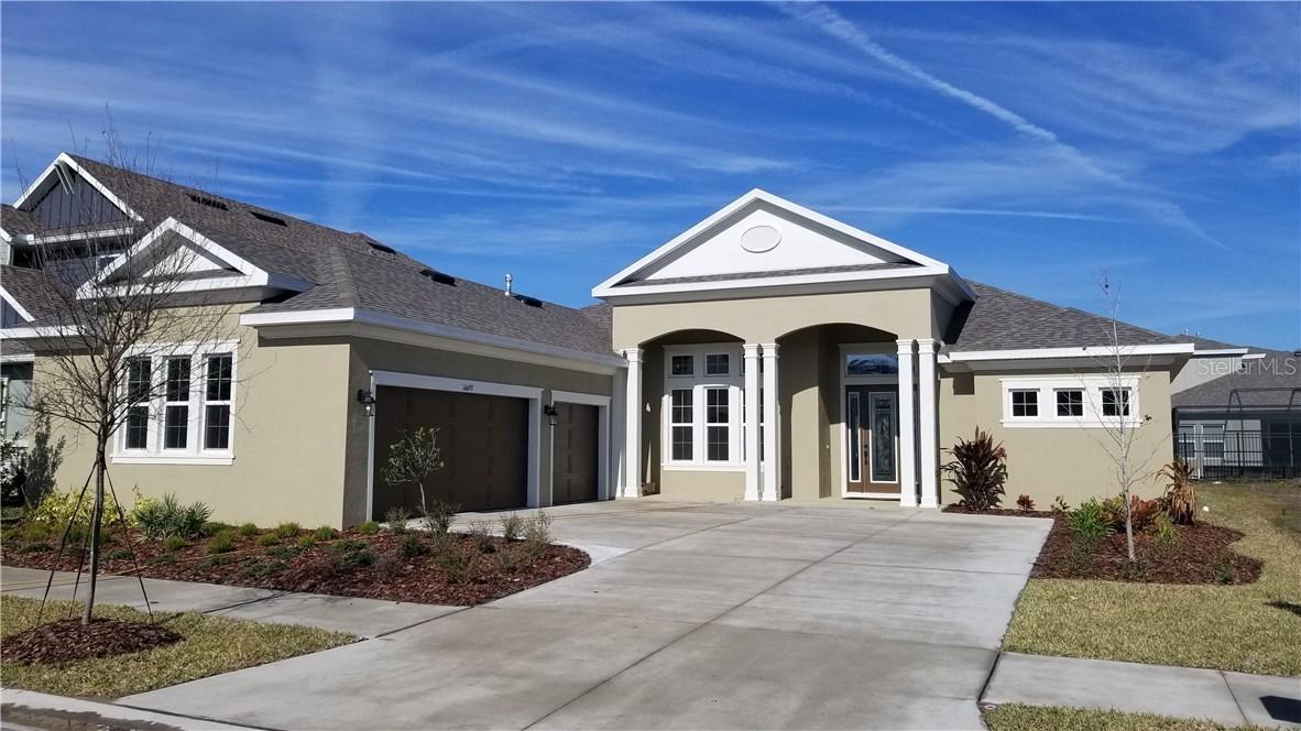 16697 Courtyard Loop, Land O Lakes, FL 34638