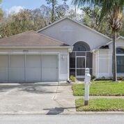 29535 Birds Eye Dr., Wesley Chapel, FL 33543