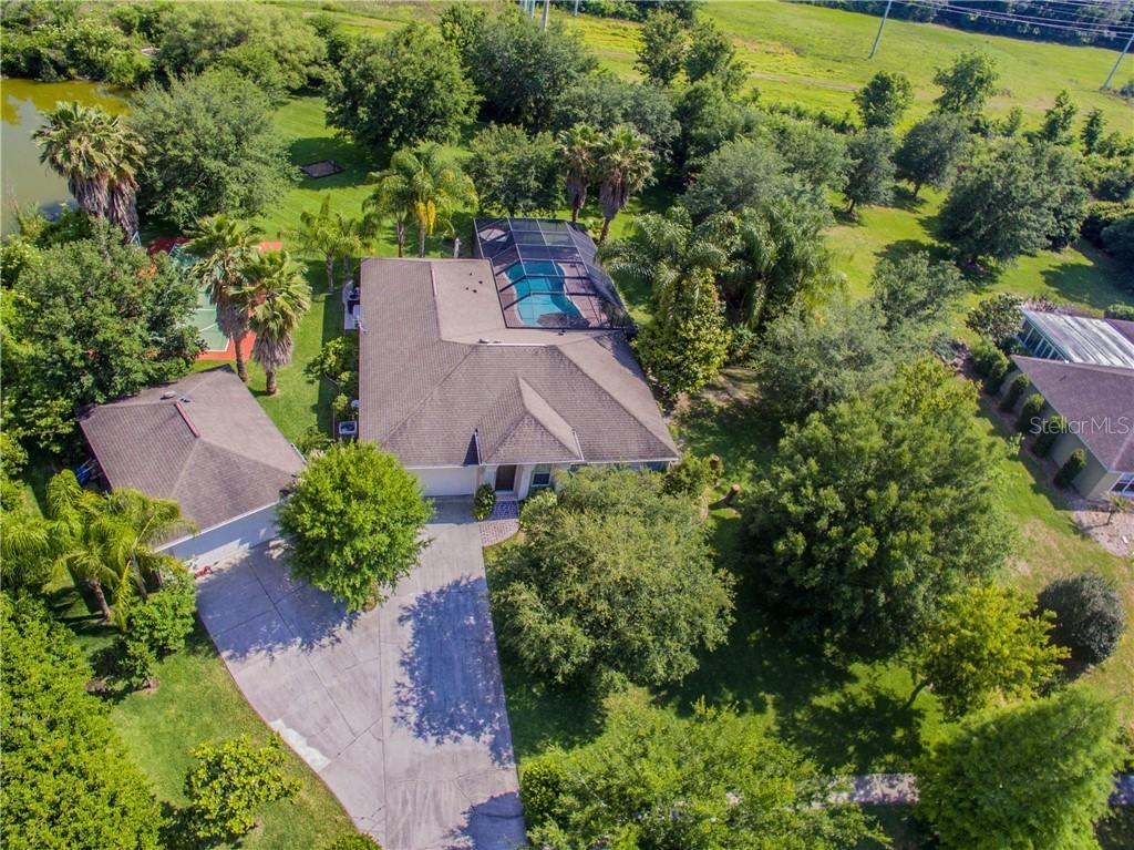 17019 Patton Ct., Lutz, FL 33559