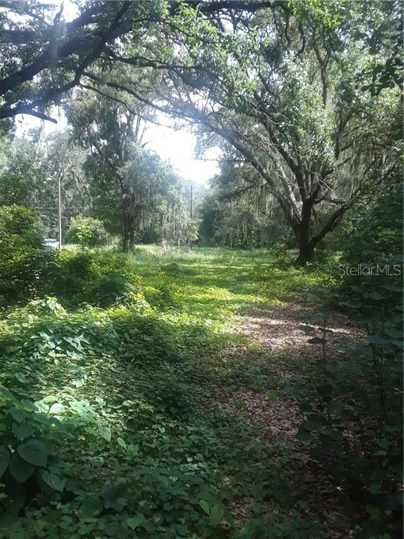 311 E Bloomingdale Ave., Brandon, FL 33511