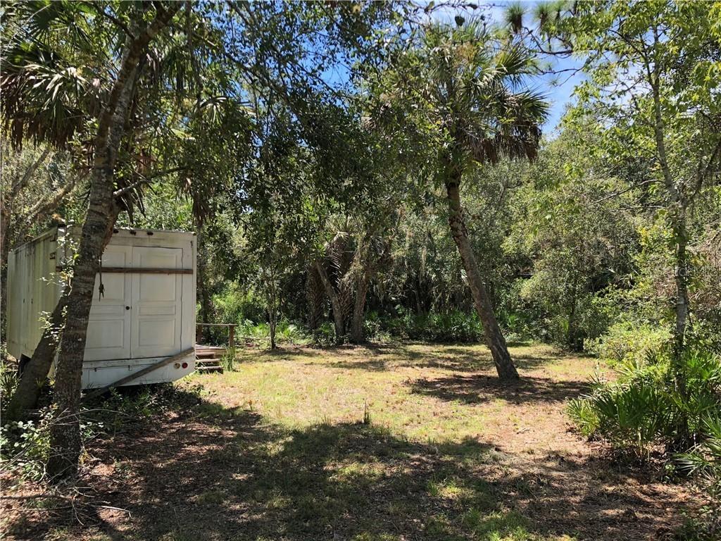 Ali Ter., Arcadia, FL 34266