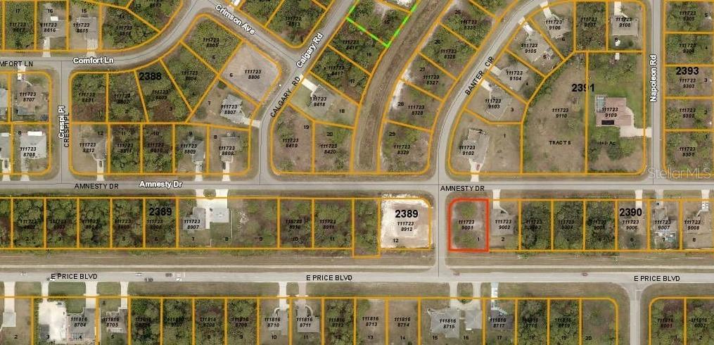 Amnesty Dr., North Port, FL 34288