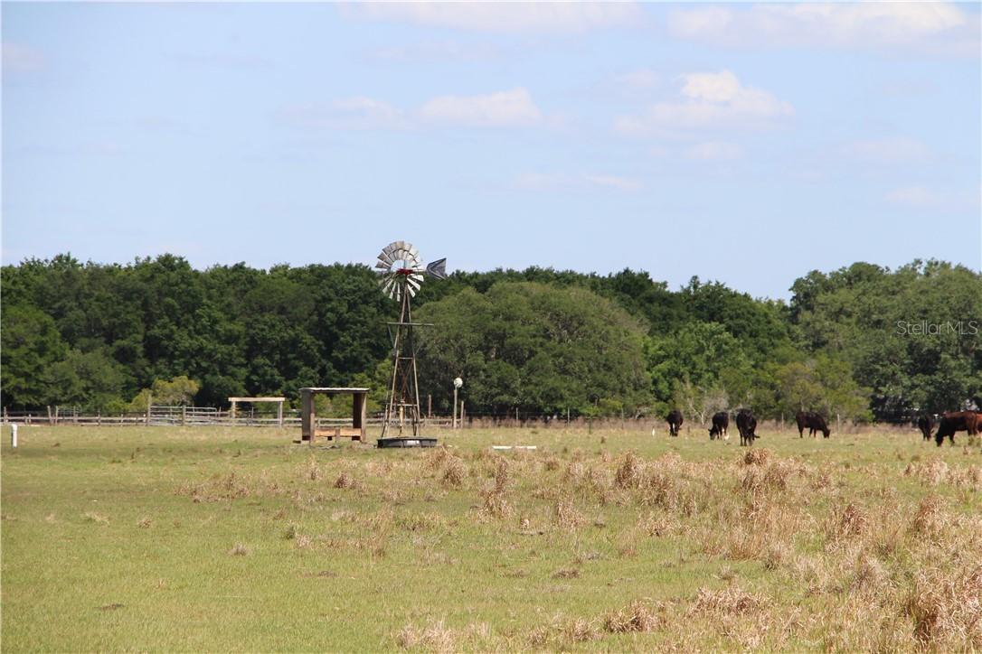 1712 SW Koch Rd., Arcadia, FL 34266