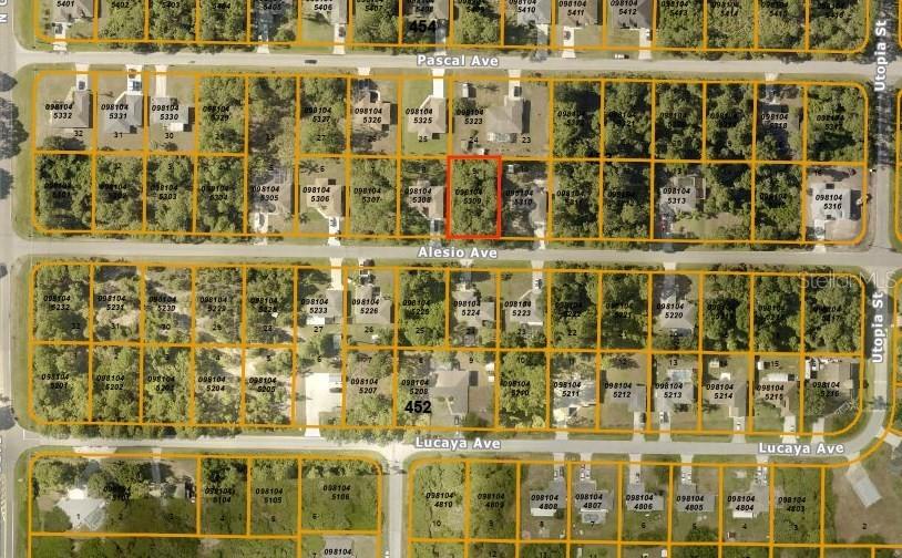 Alesio Ave., North Port, FL 34286