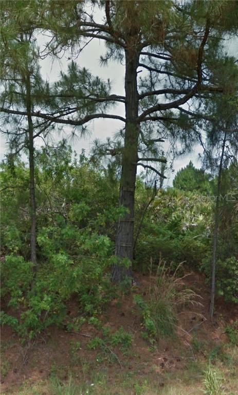 12476 Patsy Ave., Port Charlotte, FL 33981