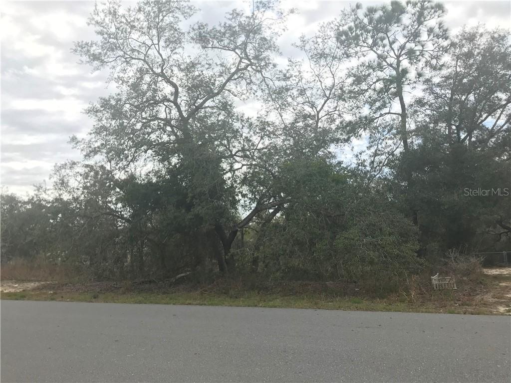 10335 Flycatcher Rd., Brooksville, FL 34613