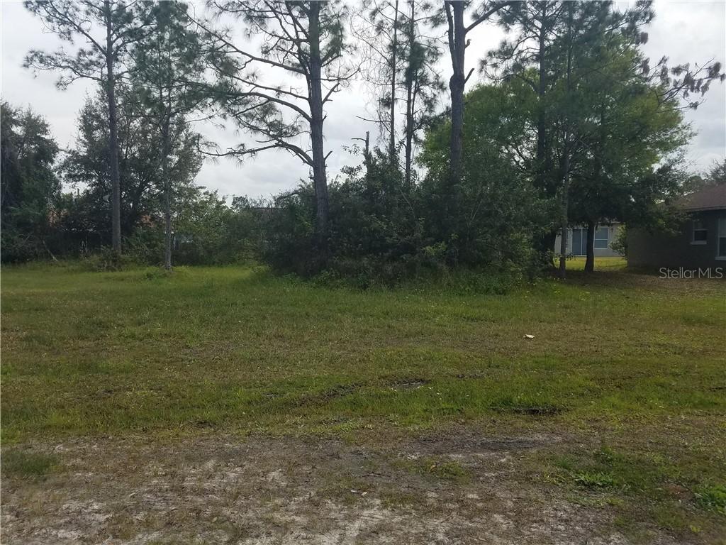 Louvre Ct., Kissimmee, FL 34759