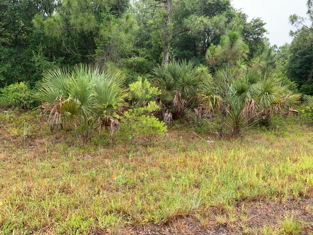 Ironside St. #Lot 12, North Port, FL 34288