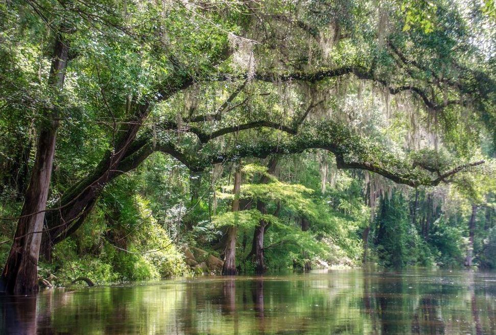 32250 Marchmont Cir., Dade City, FL 33523