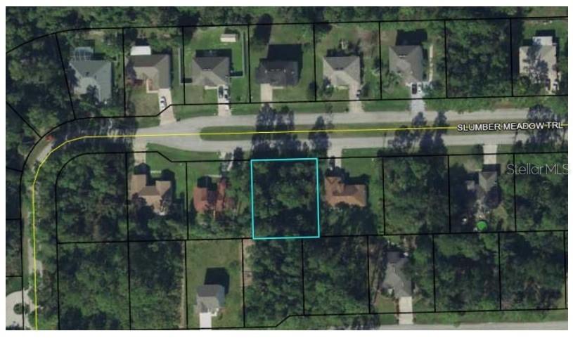31 Slumber Meadow Trl, Palm Coast, FL 32164