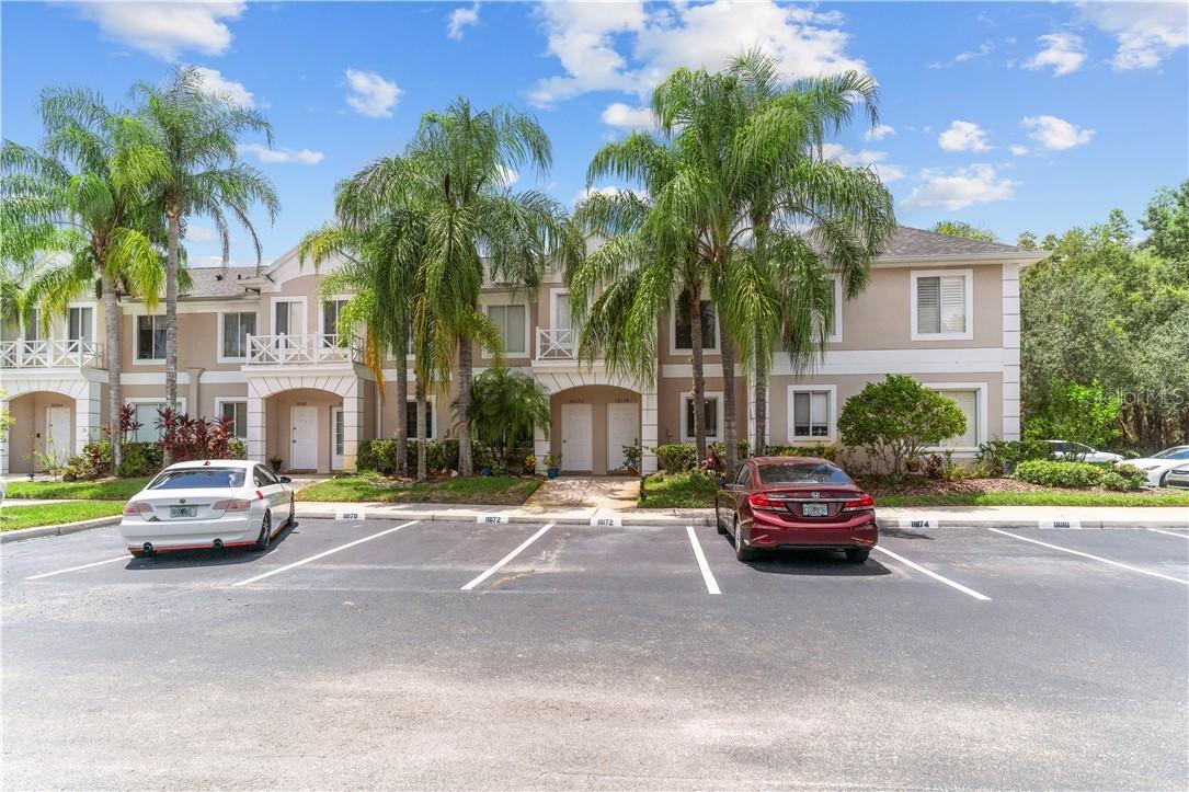18174 Paradise Point Dr., Tampa, FL 33647