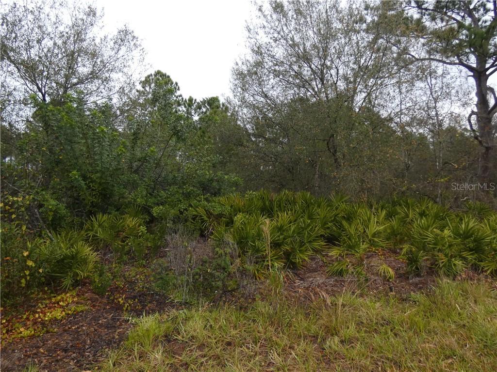 23440 Corinne Ave., Port Charlotte, FL 33980