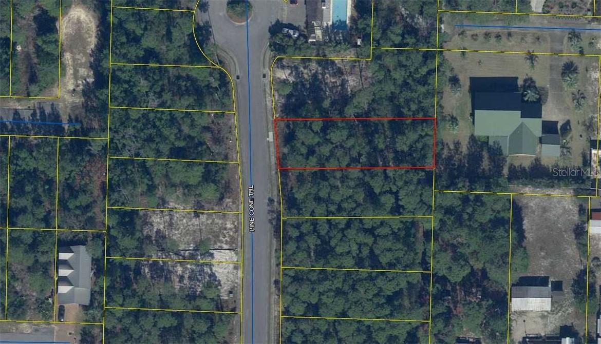 1 Pine Cone Tr., Inlet Beach, FL 32413