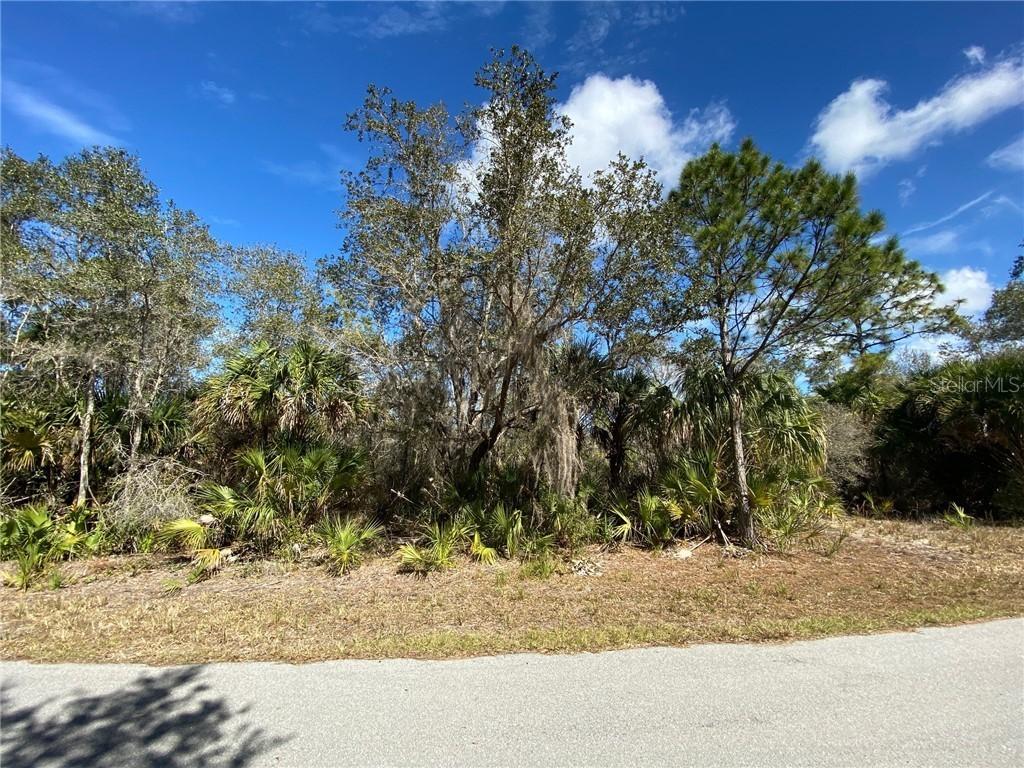 14316 Rita Av, Port Charlotte, FL 33953