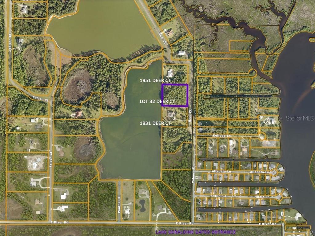 Deer #005, Venice, FL 34293