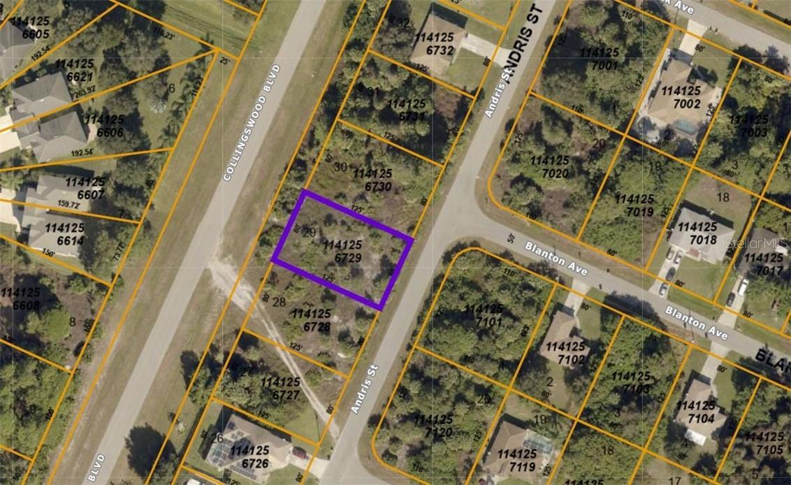 1141256729 Andris St., North Port, FL 34288