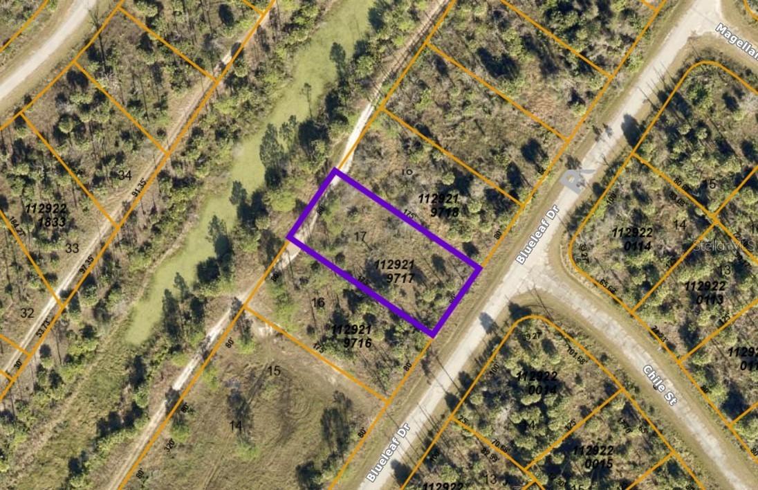 Blueleaf Dr., North Port, FL 34288