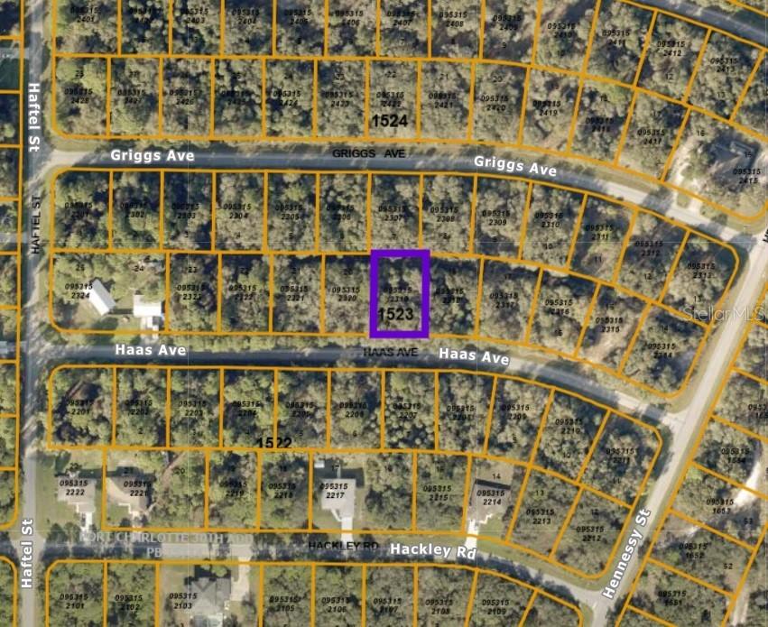 Haas Ave., North Port, FL 34291
