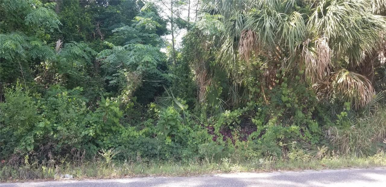 801 25th St., Palmetto, FL 34221